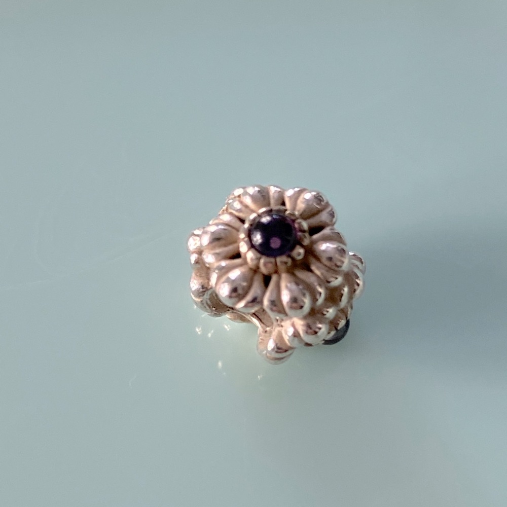 Pandora Charm